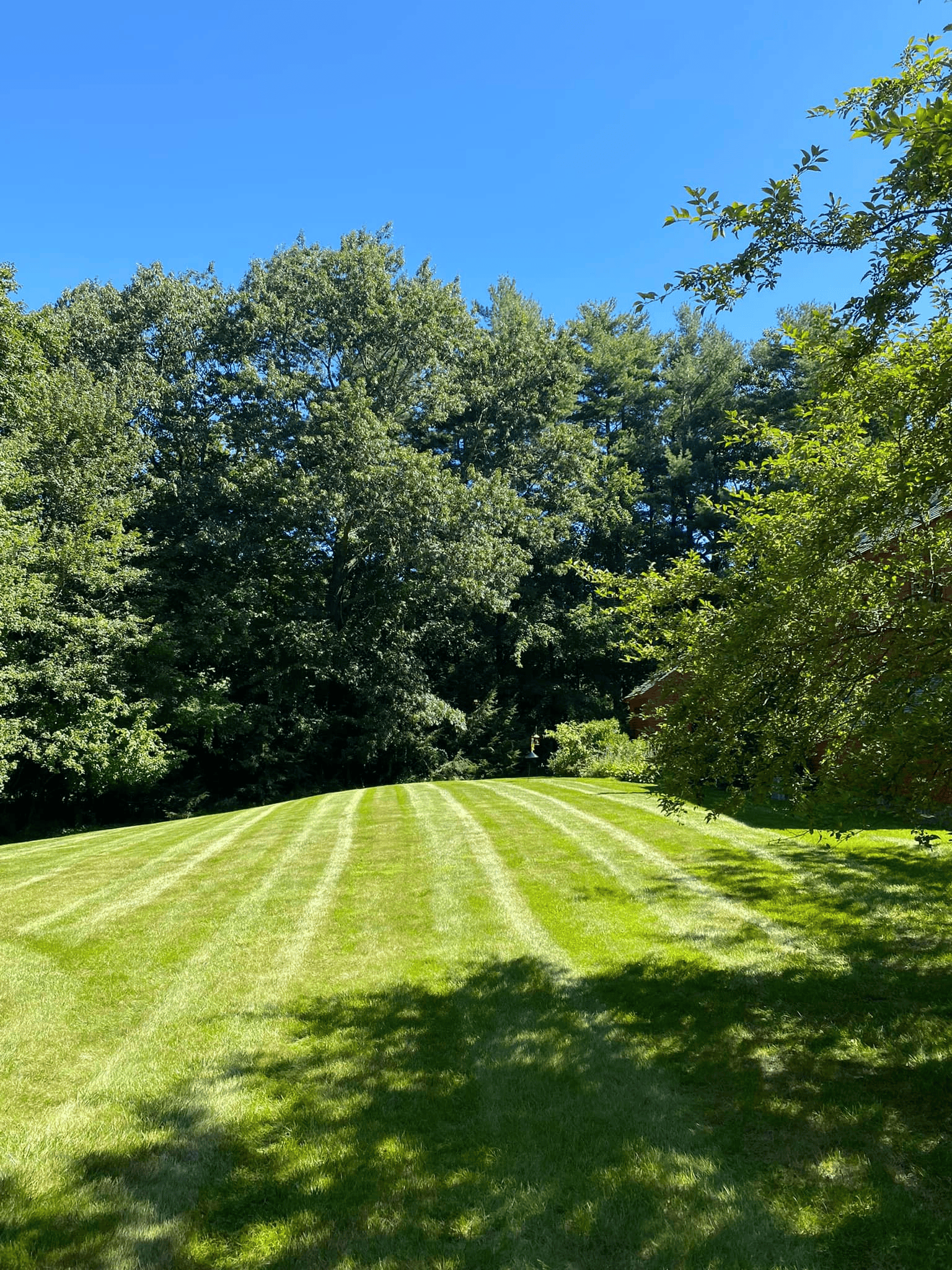 Lawn Maintenance